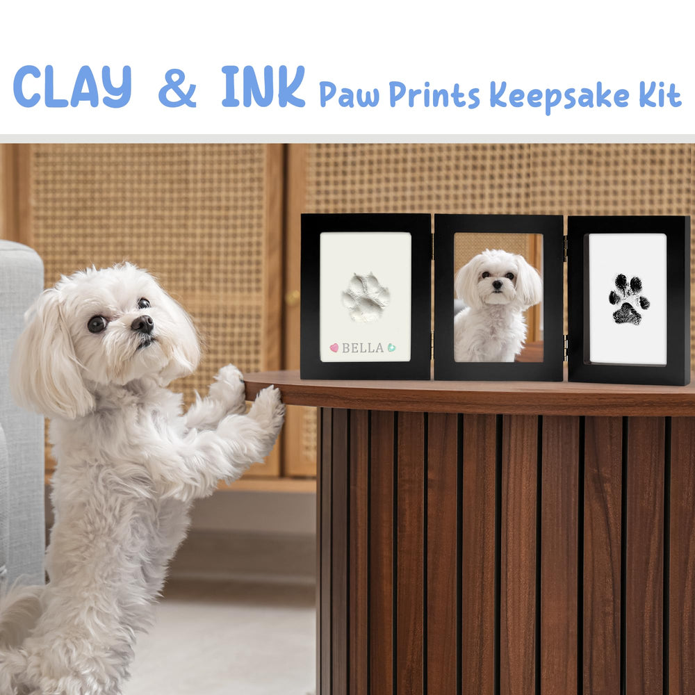 MYPAWLETS argile gros plan capturant détails de la patte, modèle précis