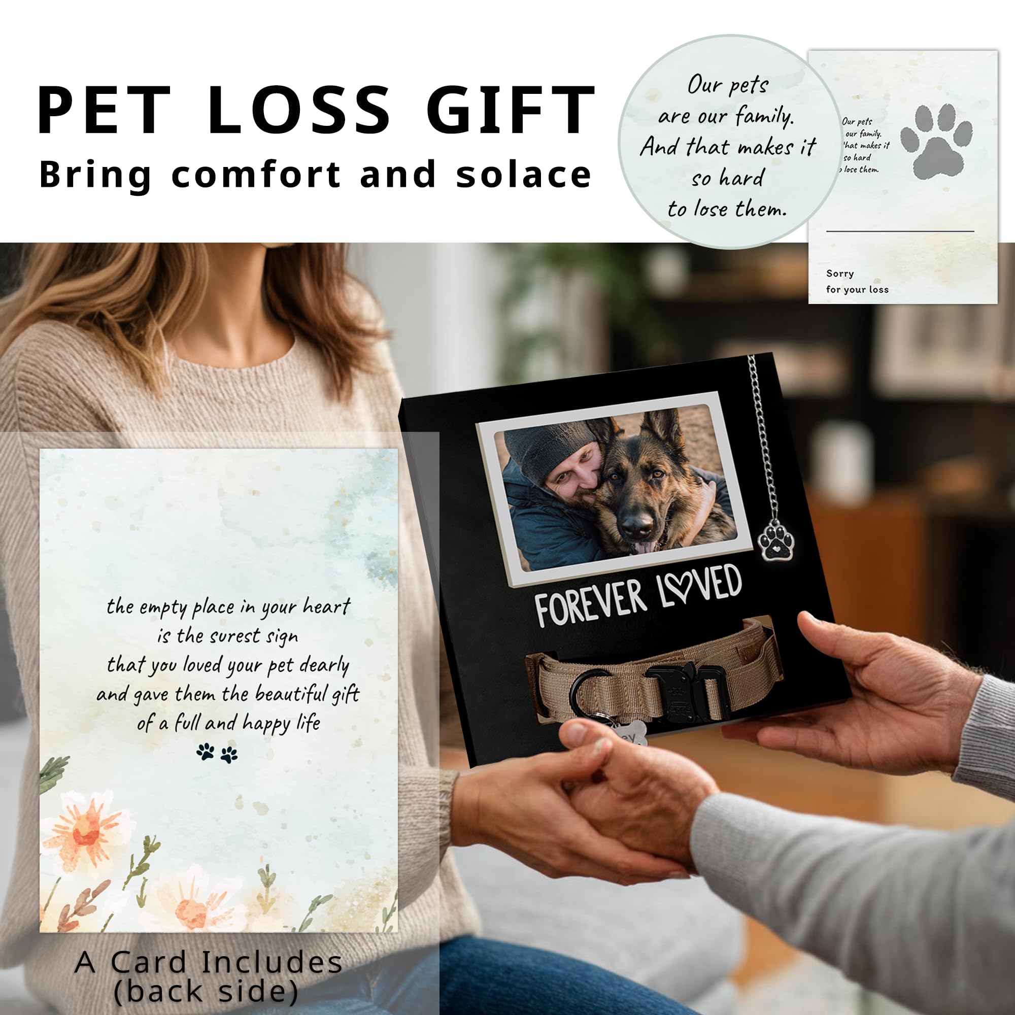 MYPAWLETS détail de l'impression «FOREVER LOVED» apportant dignité élégante