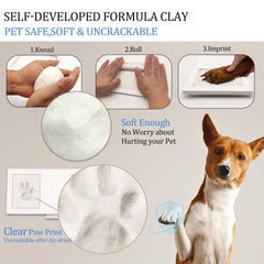 MYPAWLETS kit complet sur table montrant tous les éléments prêts à l'emploi