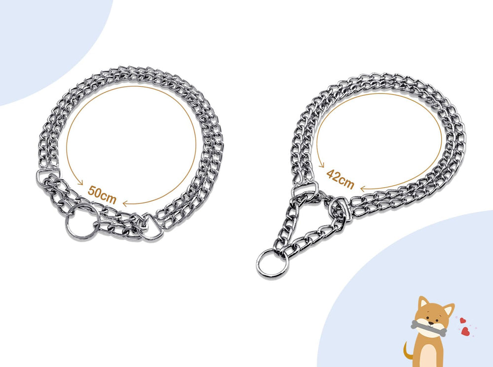 Mystercome collier en extérieur lors d'une balade montrant résistance aux conditions d'usage