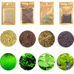 Mysteryhigh ensemble 4 sachets montrant le packaging et bénéfice décoratif