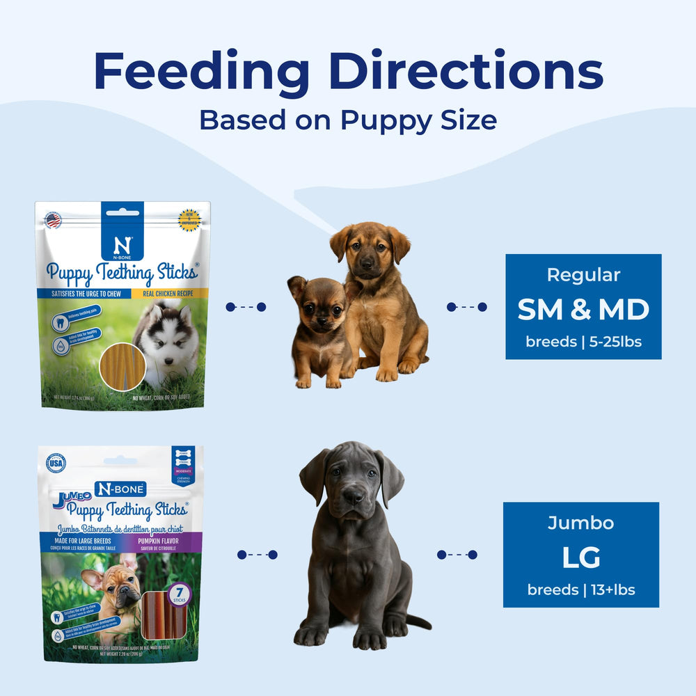 N-Bone cadre domestique chiot jouant pour illustrer usage quotidien sûr