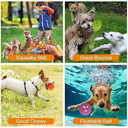 N-S chiot rapportant balle illustrant interaction et entraînement