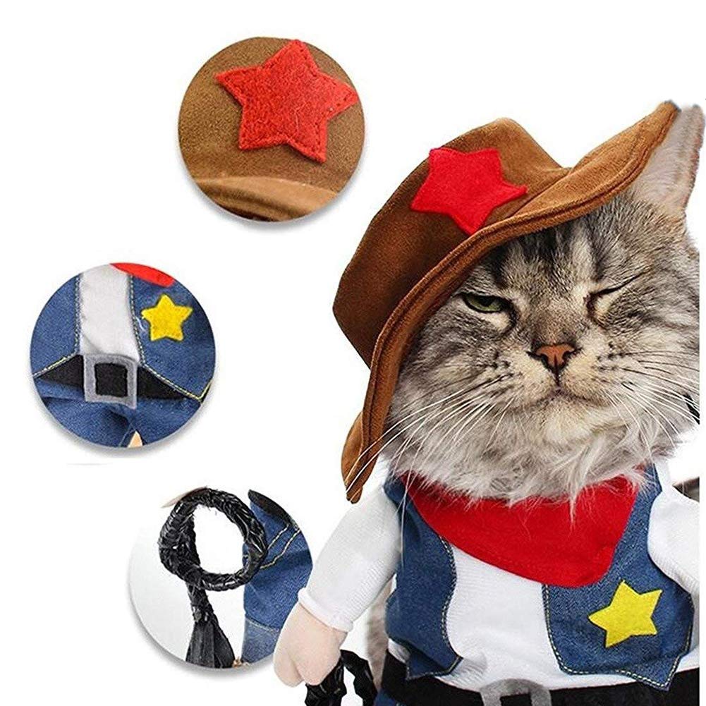 NACOCO chapeau cowboy en détail, maintien confortable pour petites têtes