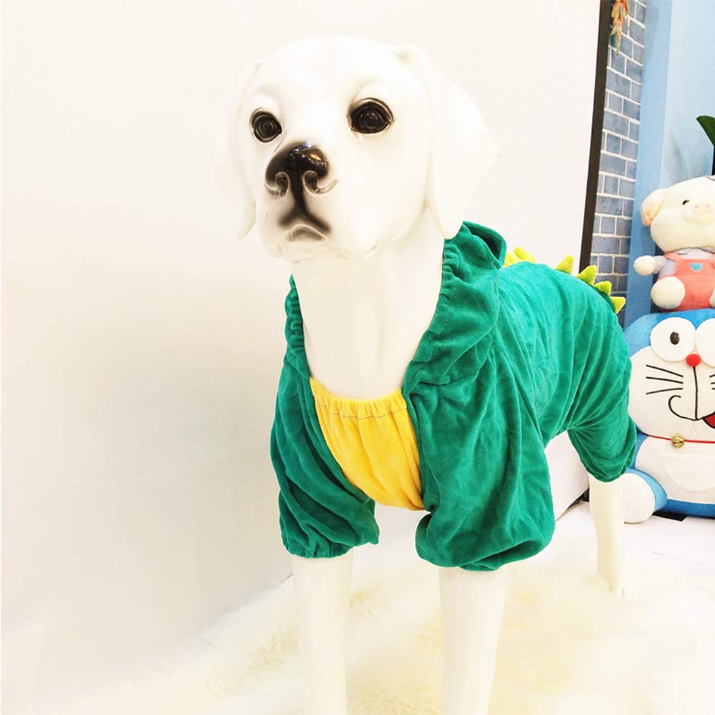 NACOCO chien portant le costume dinosaure lors d’une balade hivernale
