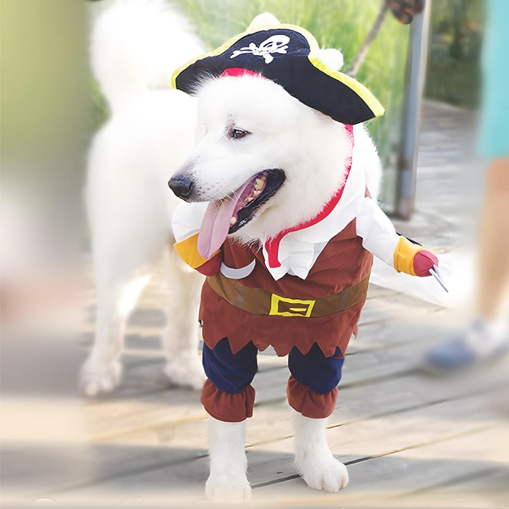 NACOCO look lifestyle chien déguisé pour fête et photo souvenir