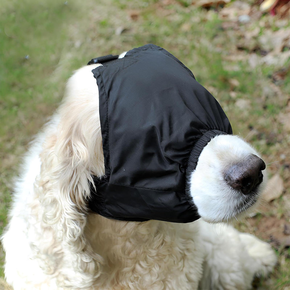 NACOCO porté durant un bain pour réduire le stress visuel du chien