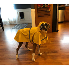 NACOCO manteau porté en promenade, confort et légèreté pour chien
