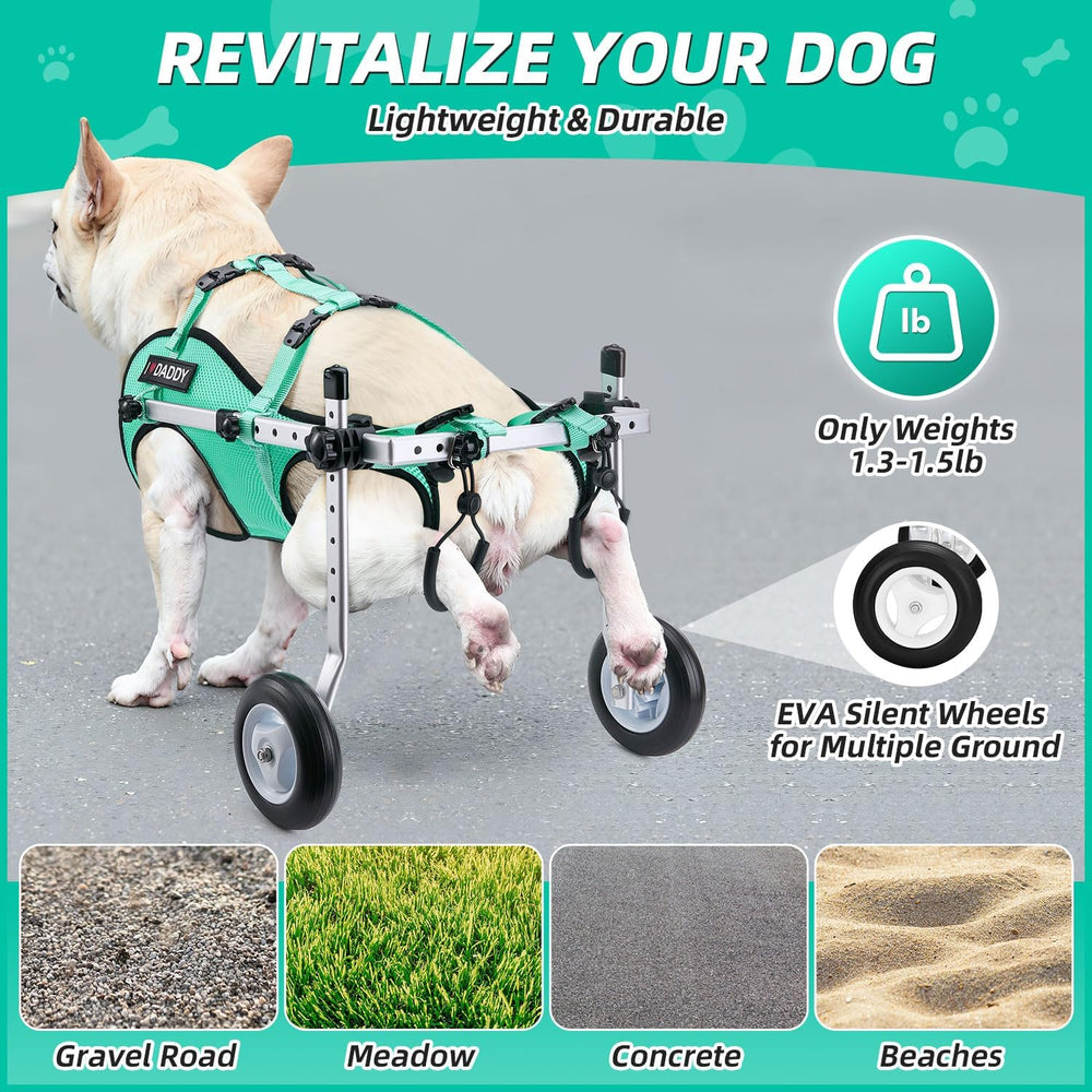 Nasjac comparaison taille avec un chien de petit gabarit pour choix de taille