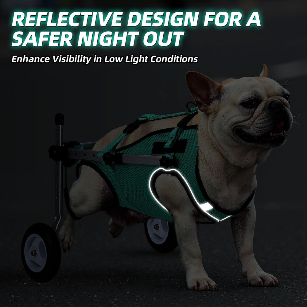 Nasjac chien en promenade utilisant le fauteuil pour retrouver activité