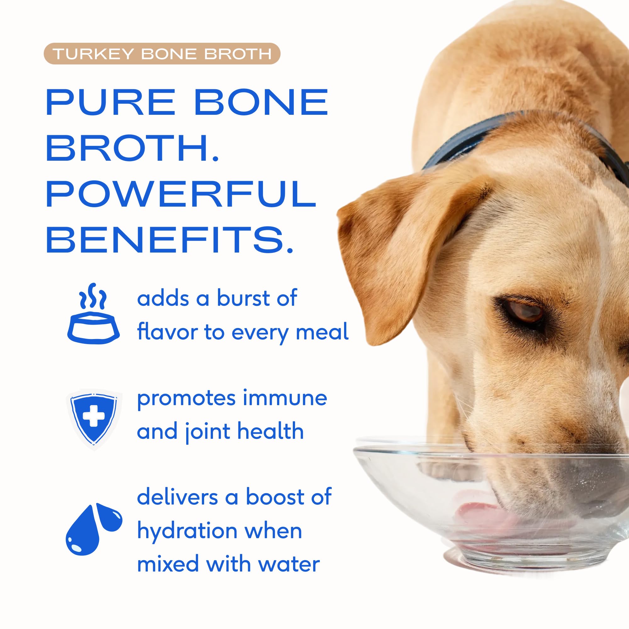 Native Pet bouillon réhydraté en gravy augmentant l'appétence