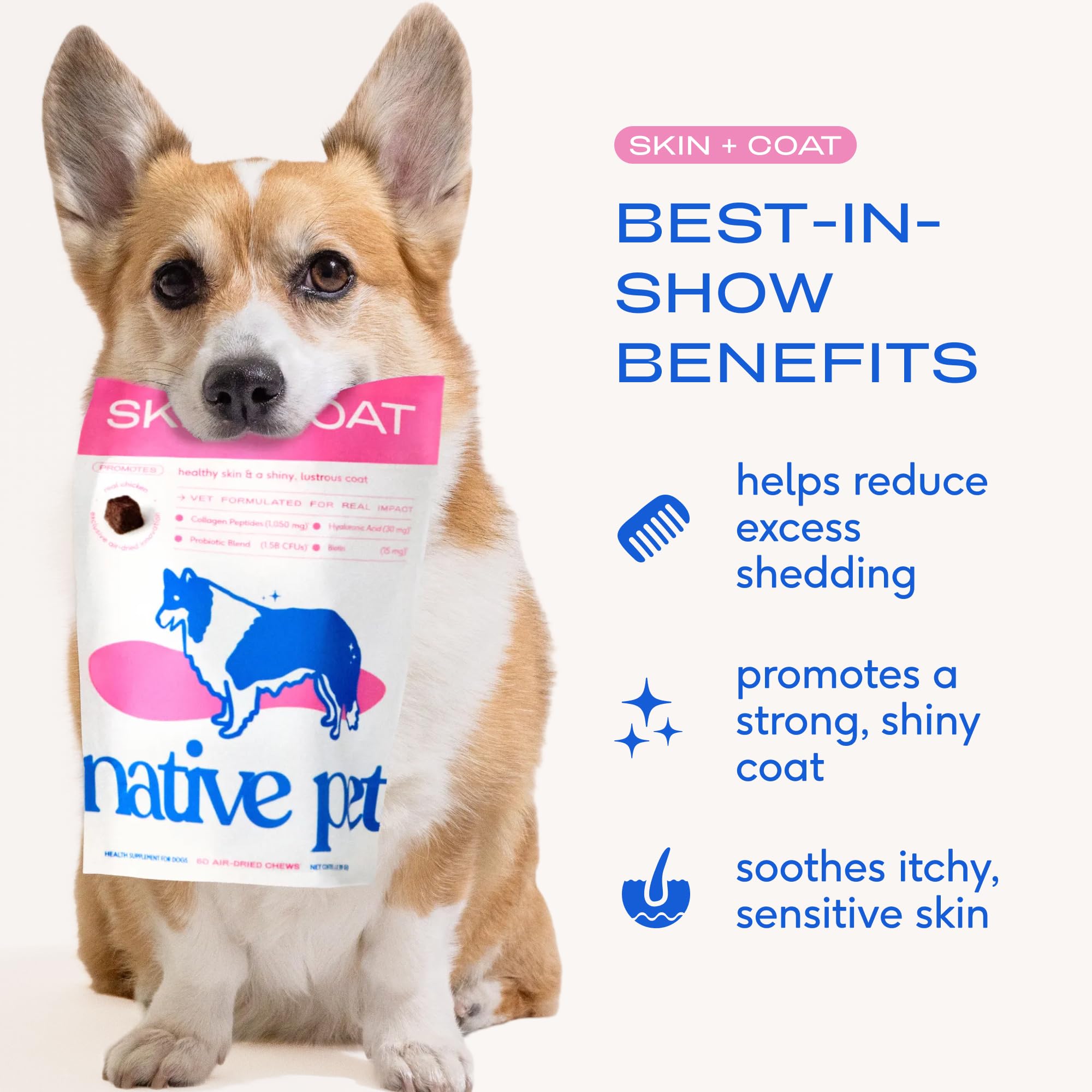 Native Pet gros plan sur la texture air‑dried d'un chew, bénéfice biodisponibilité des nutriments