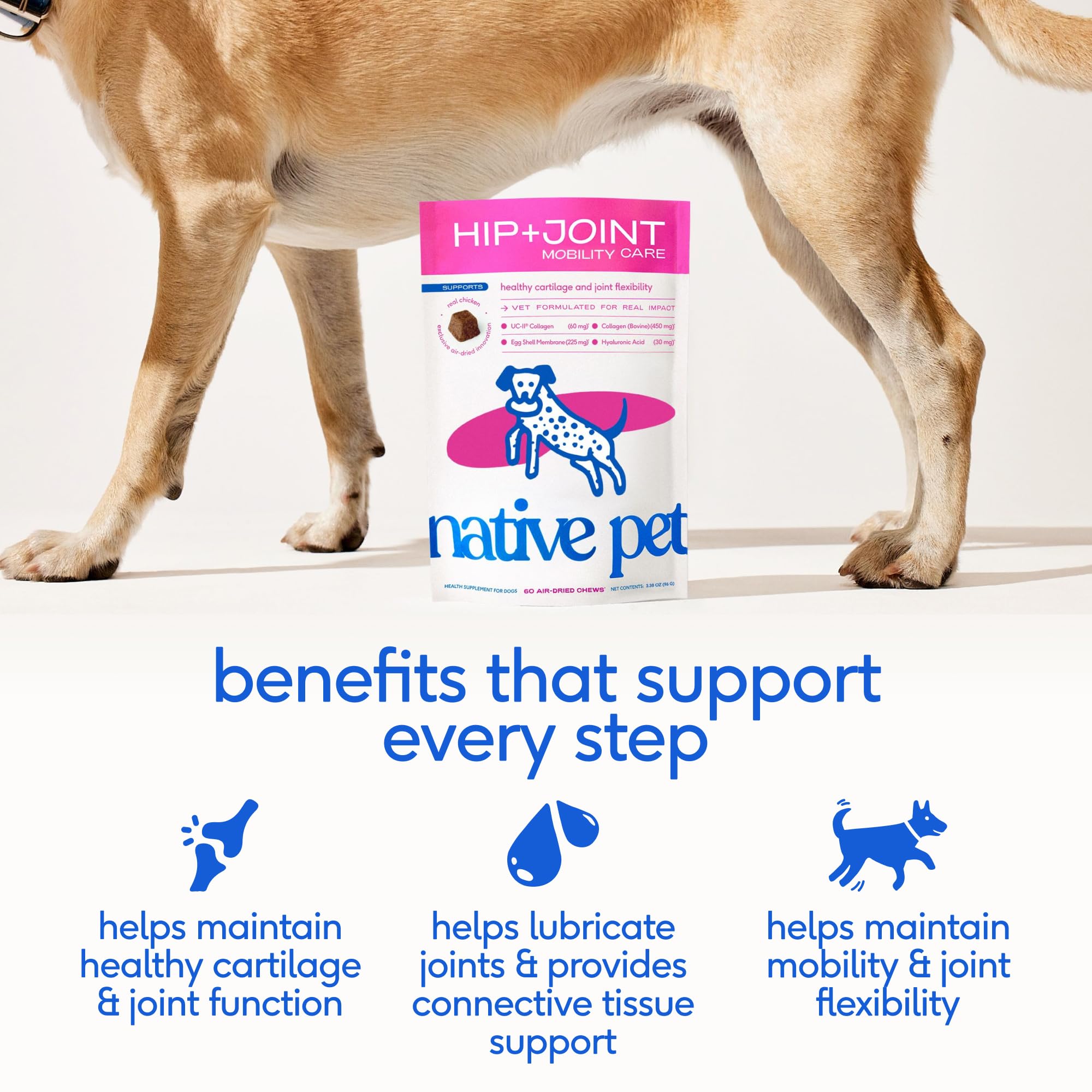 Native Pet chew gros plan montrant texture air‑dried et appétence