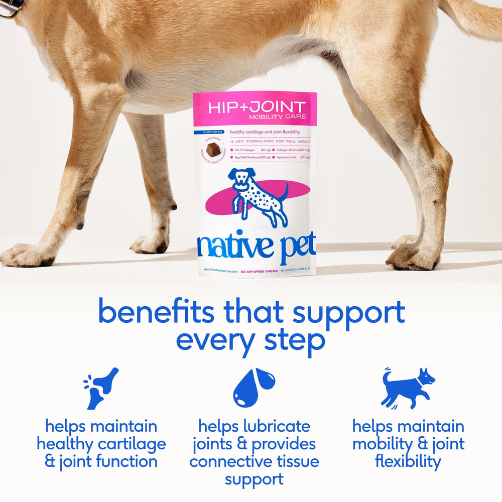 Native Pet chew gros plan montrant texture air‑dried et appétence