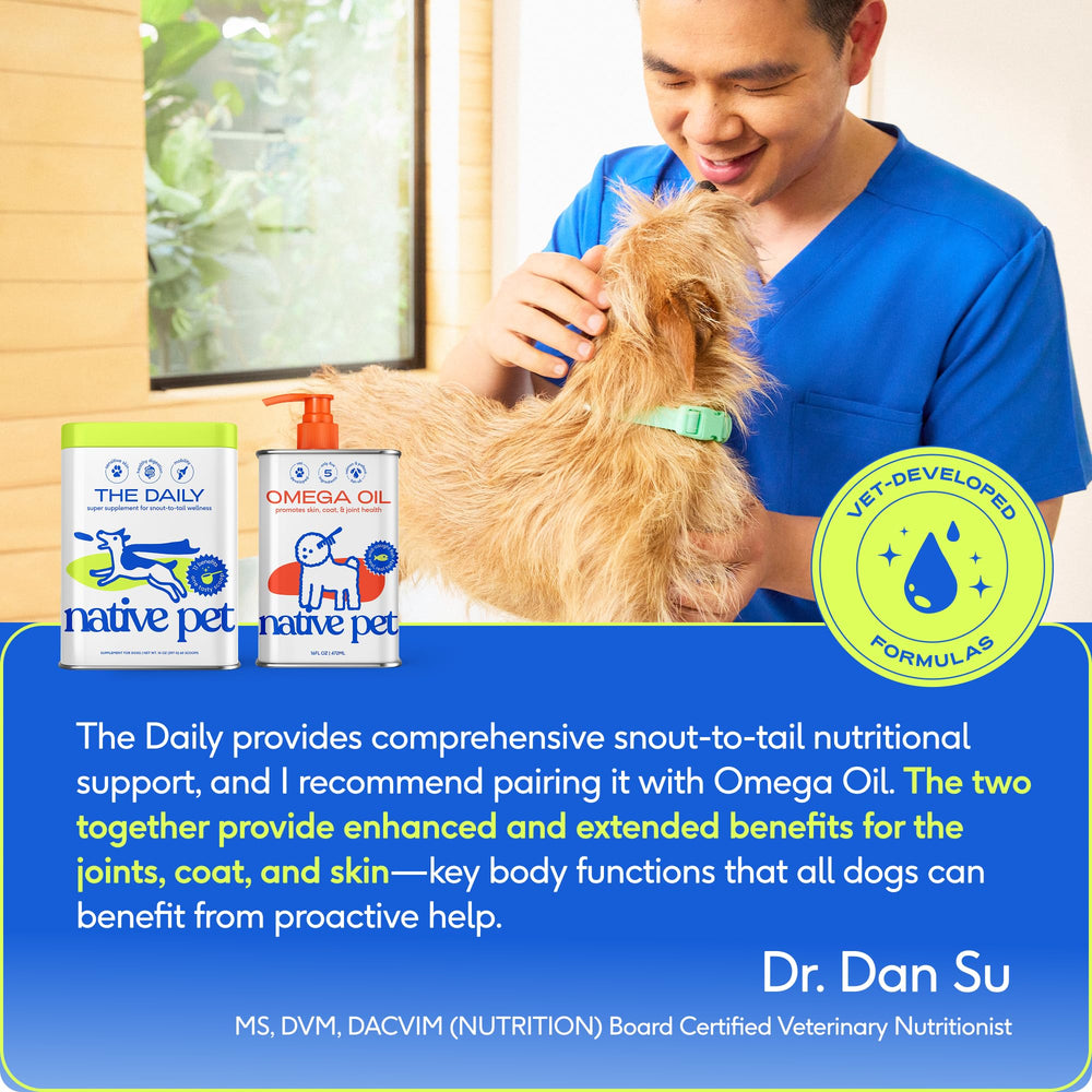 Native Pet chien mangeant bol enrichi favorisant digestion équilibrée