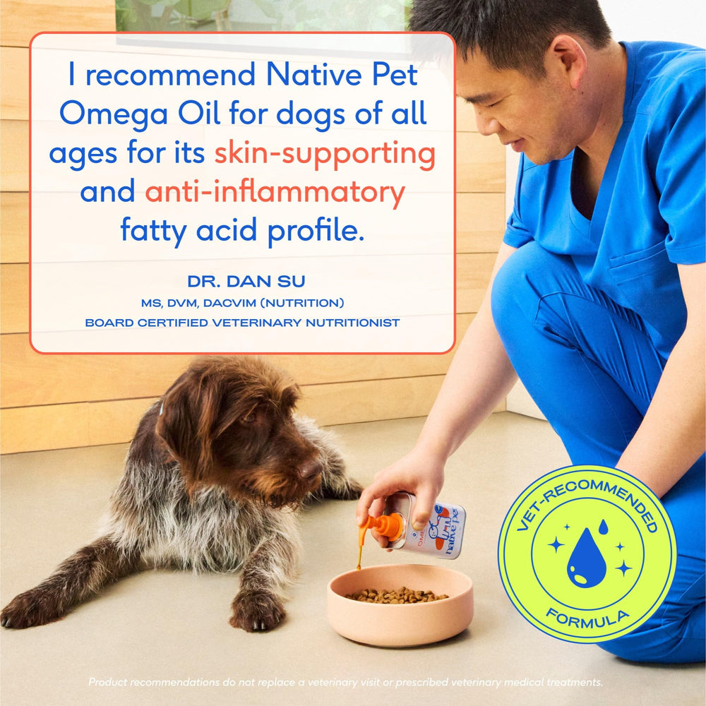 Native Pet chien léchant la nourriture avec huile, pelage plus brillant