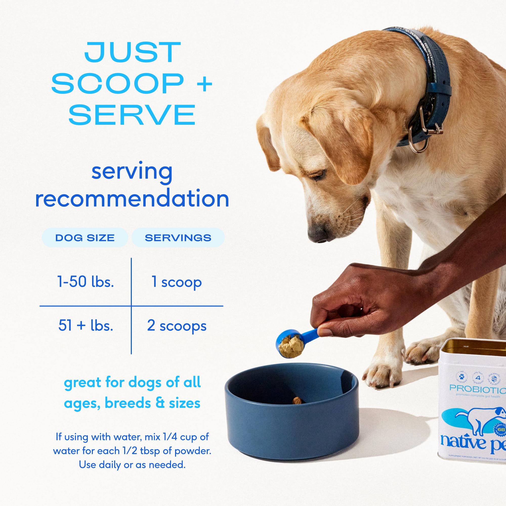 Native Pet chien mangeant son repas quotidien avec poudre, bénéfice routine facile