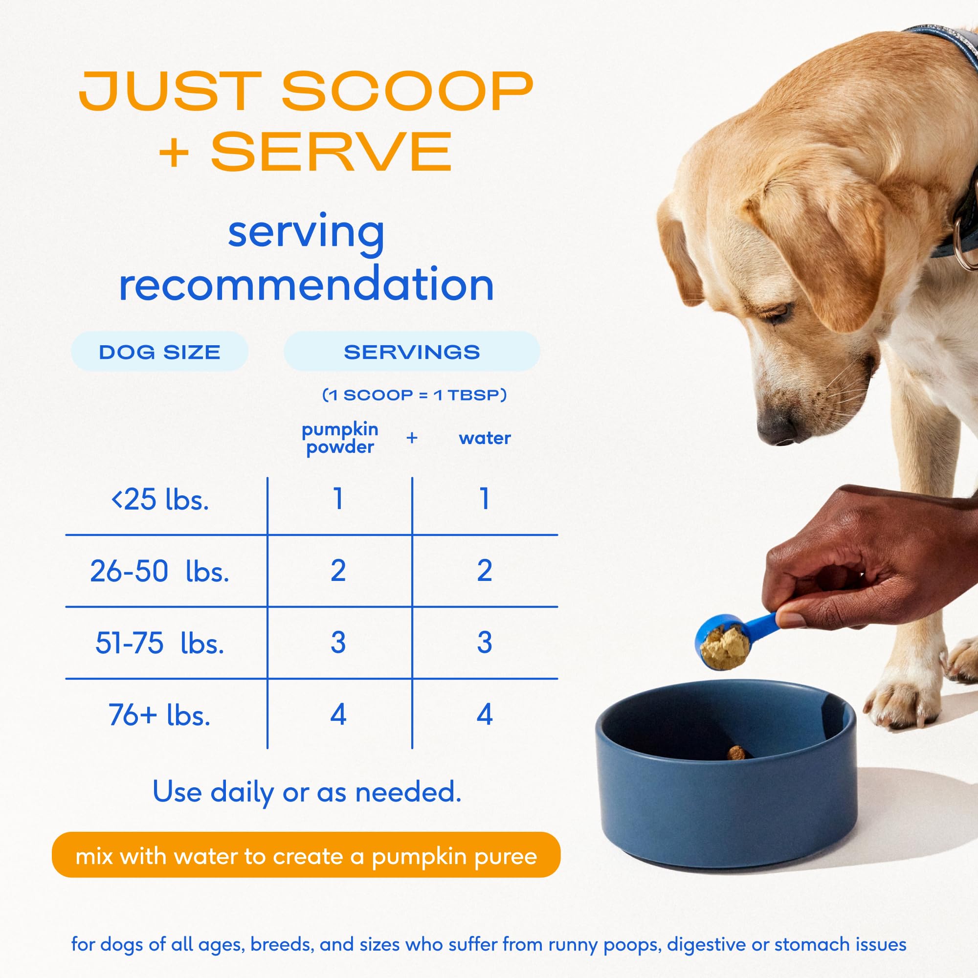 Native Pet étiquette ingrédients montrant les trois composants bio et l'absence d'additifs