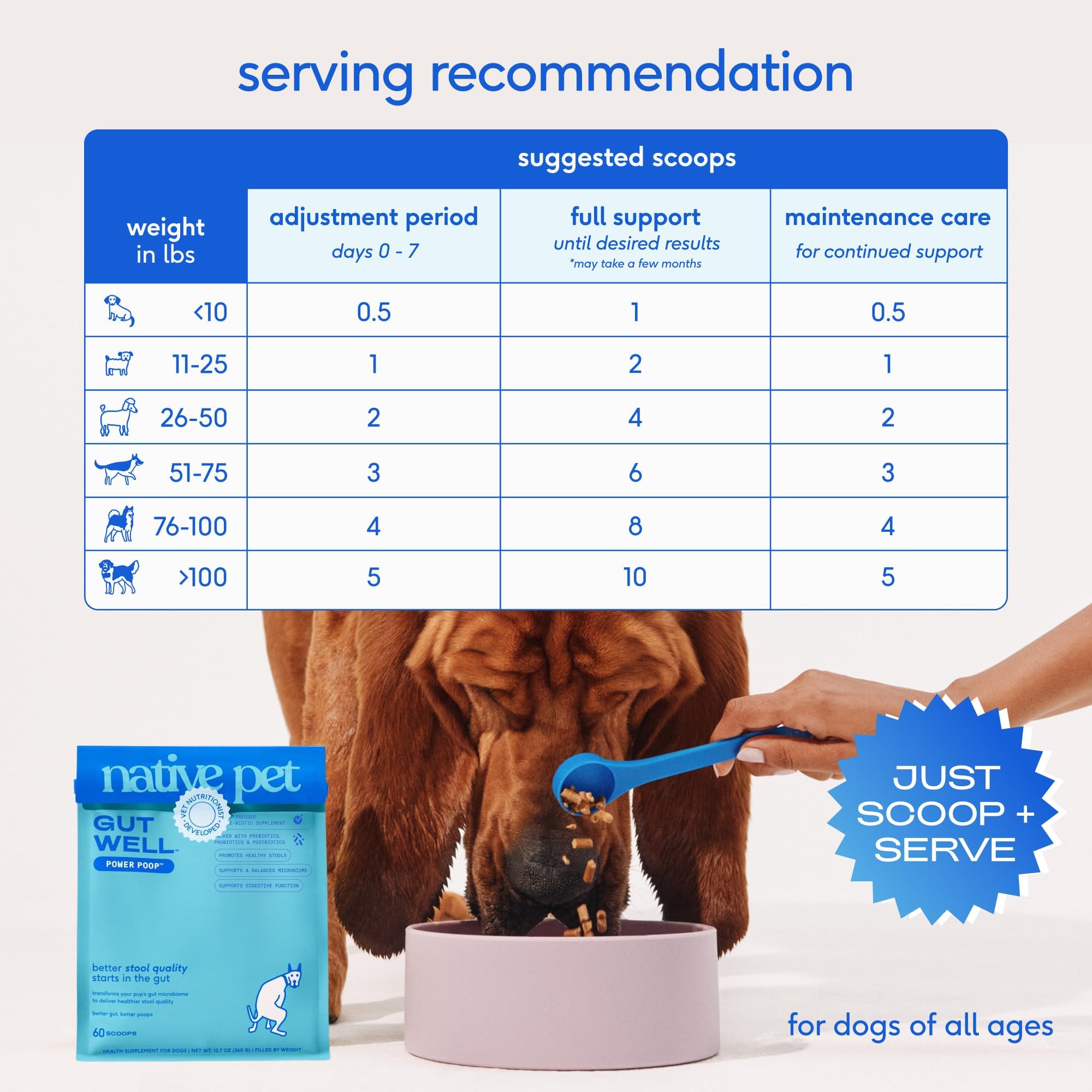 Chien mangeant repas avec Native Pet GutWell pour une meilleure digestion
