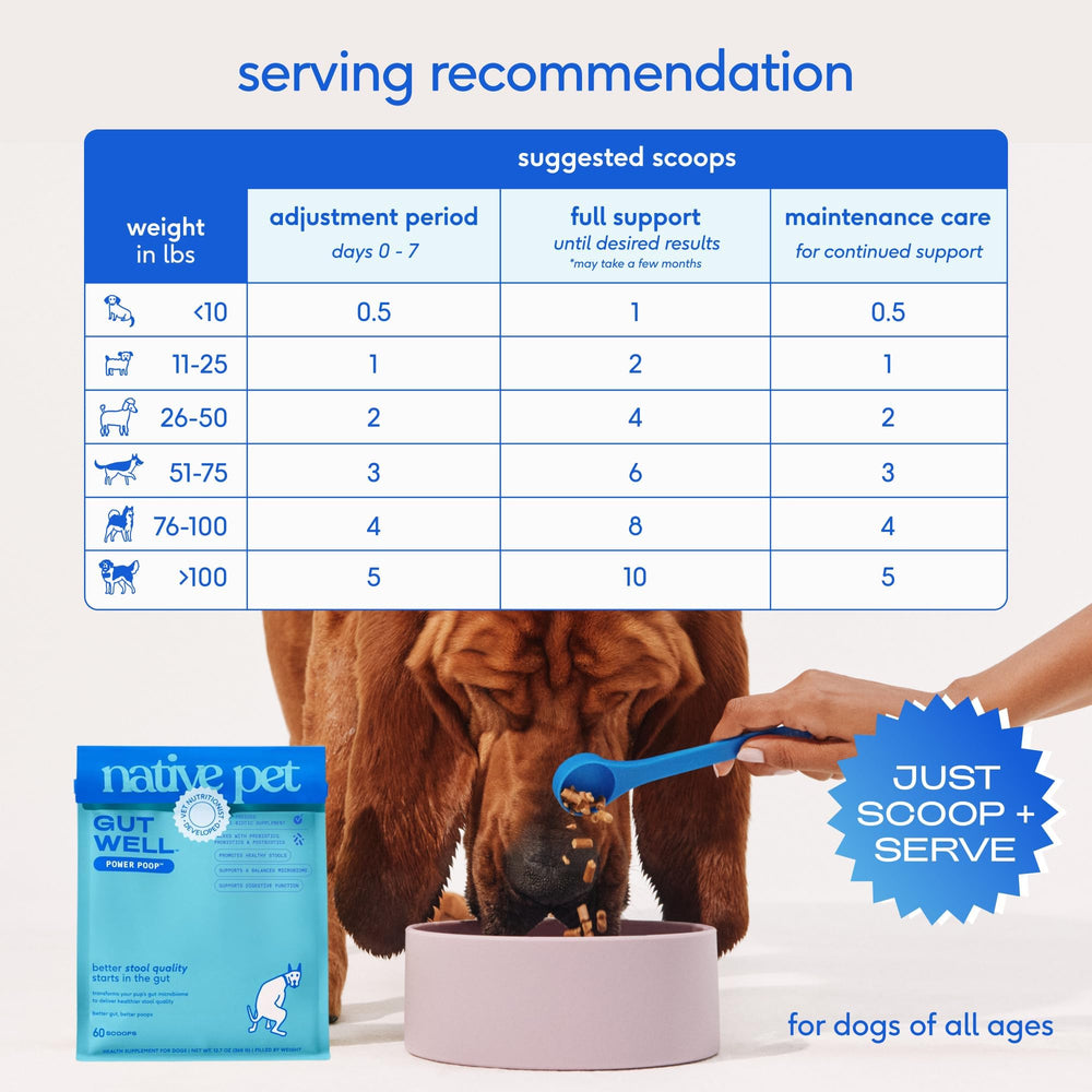 Chien mangeant repas avec Native Pet GutWell pour une meilleure digestion