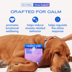 Native Pet scoop GutWell cuillère mesurée indiquant dose facile et pratique