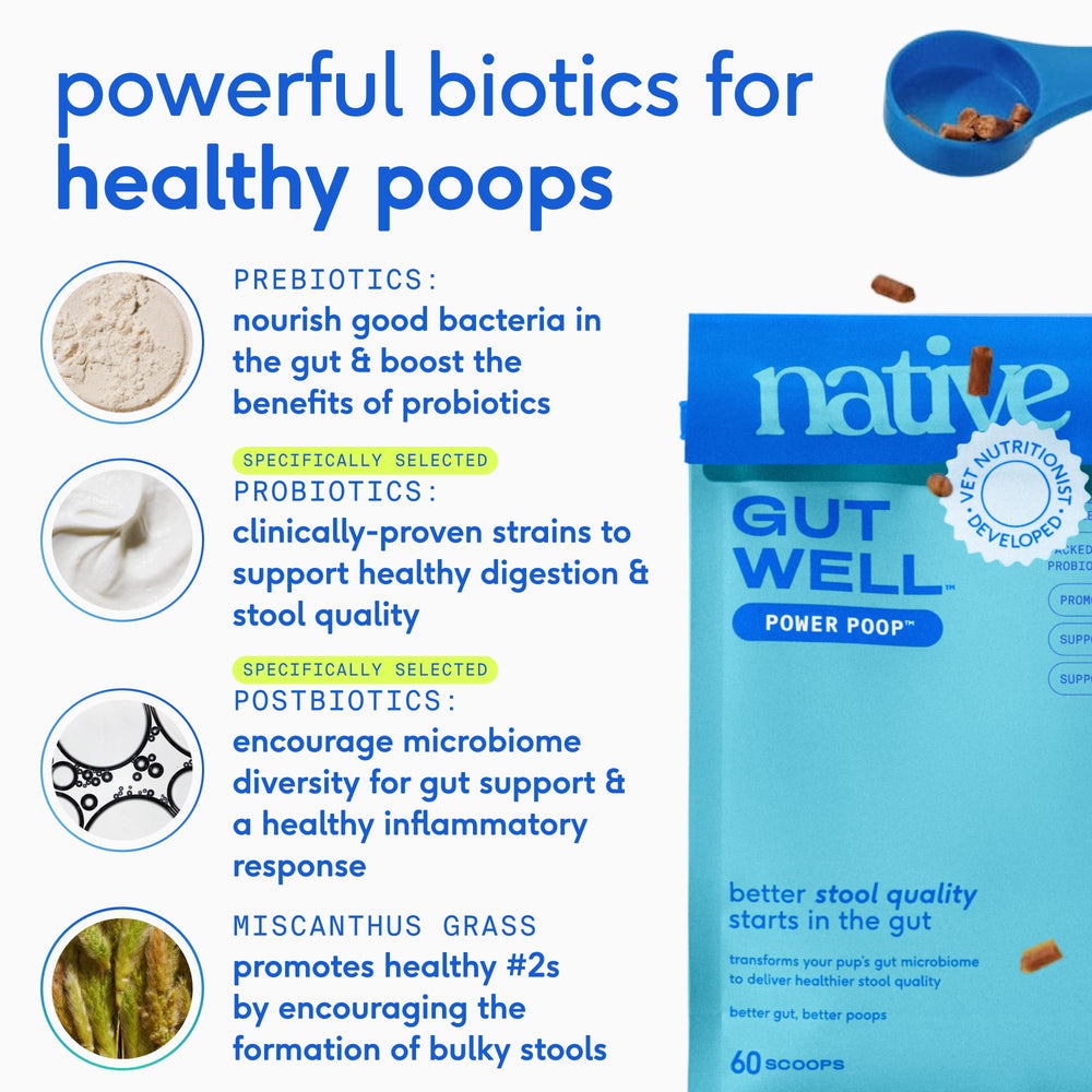 Native Pet étiquette GutWell listant prébiotiques, probiotiques et postbiotiques