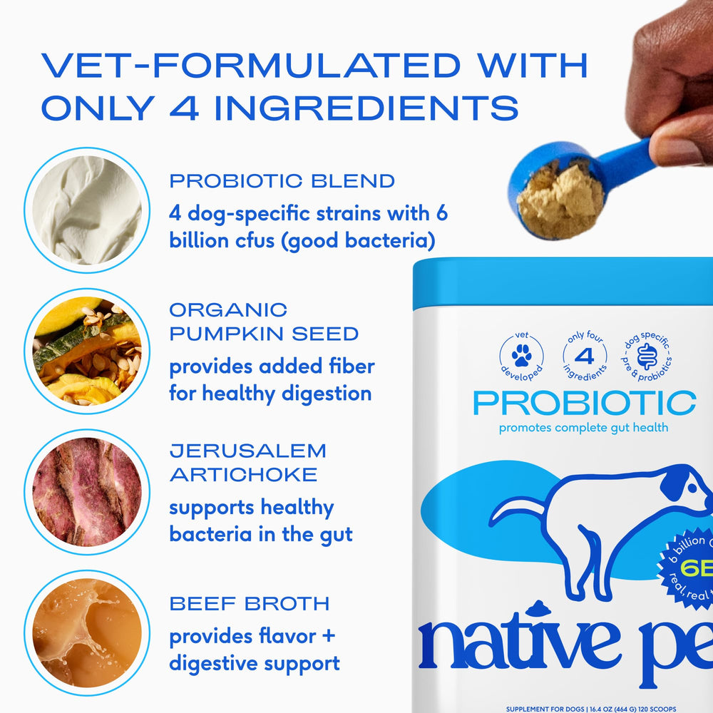 Native Pet poudre mélangée aux croquettes pour une digestion apaisée