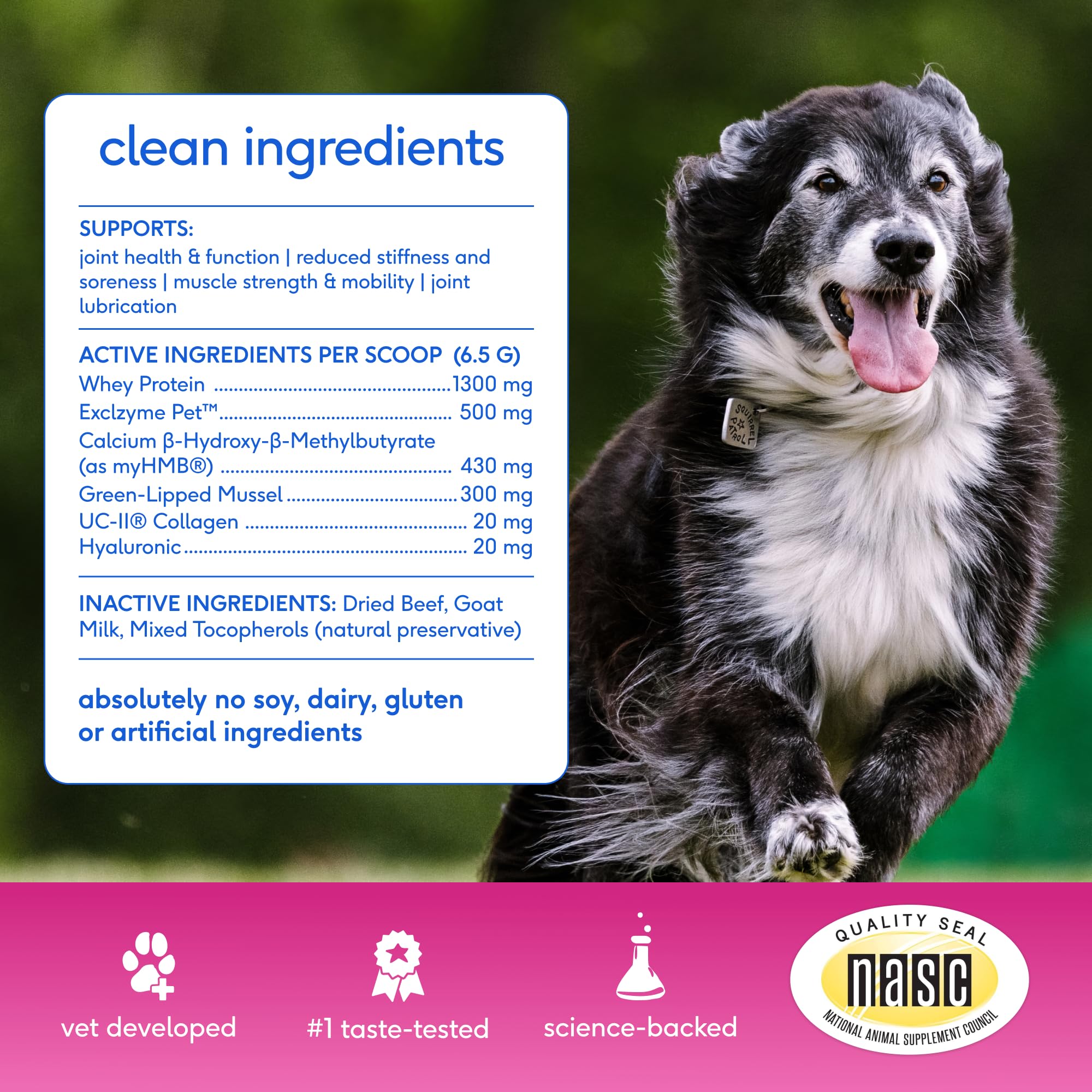 Native Pet poudre mélangée aux croquettes assurant appétence et acceptation