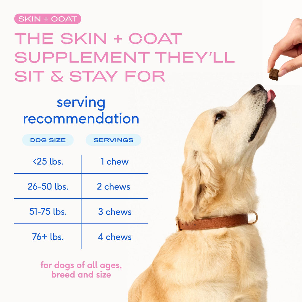 Native Pet comparaison de taille d'un chew à une pièce, bénéfice dosage simple selon poids