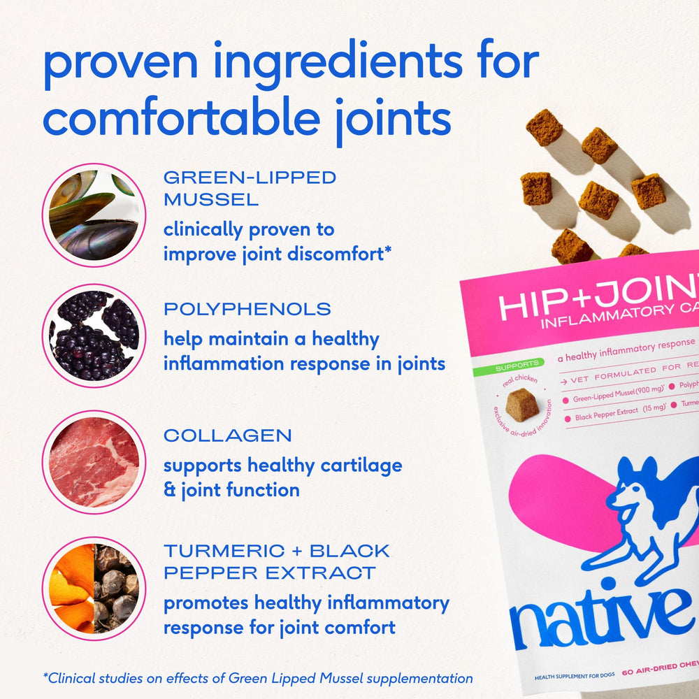 Native Pet comparaison taille chew à la main, portion claire et pratique