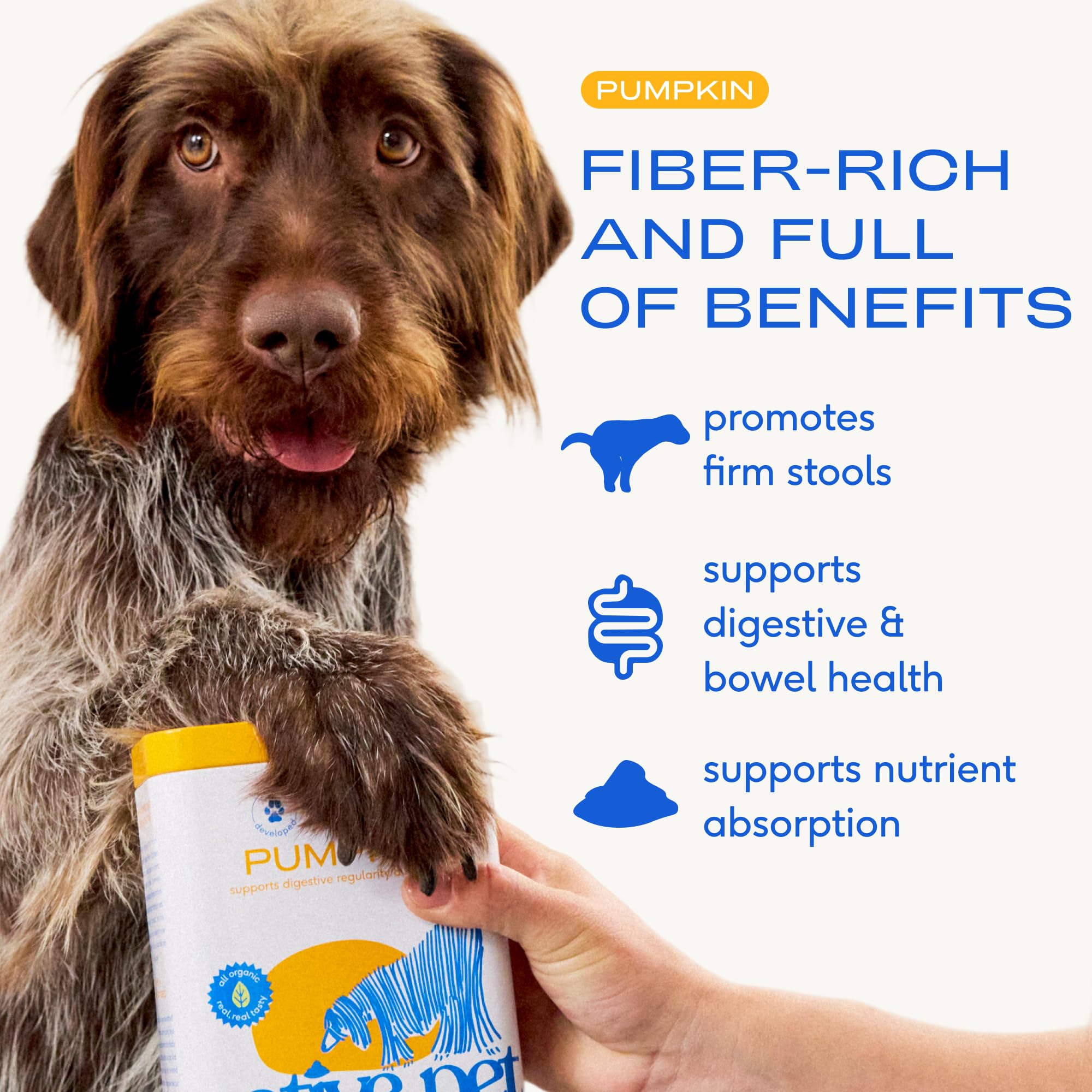 Native Pet poudre gros plan illustrant la texture fine et l'usage sans réfrigération