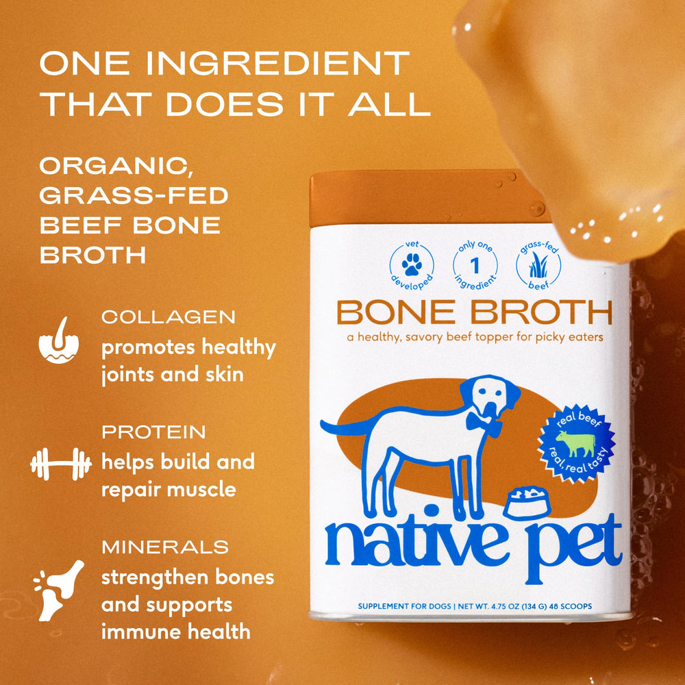 Native Pet préparation dans un bol illustrant hydratation et facilité d'utilisation