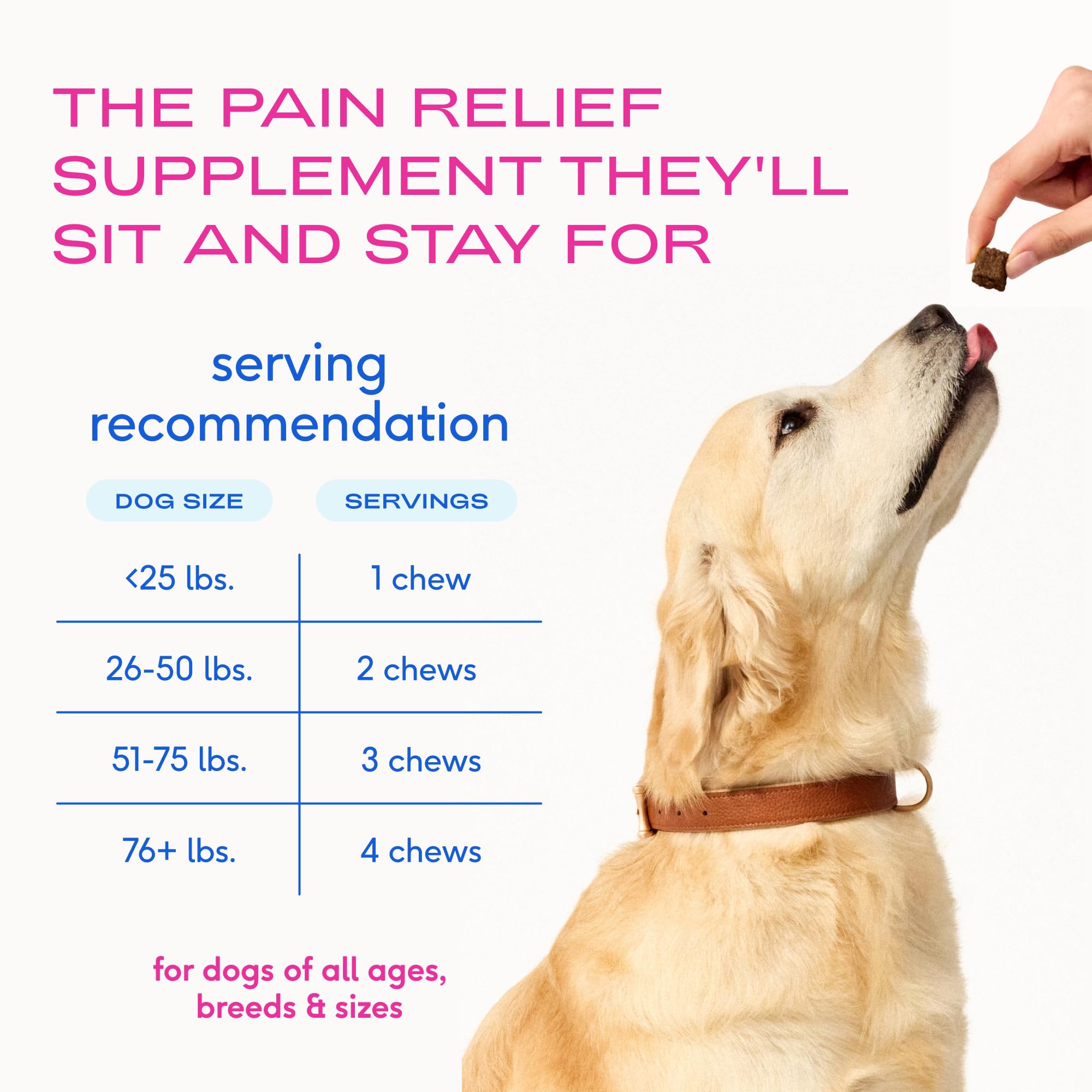 Native Pet sachet ouvert montrant 60 chews fraîcheur préservée