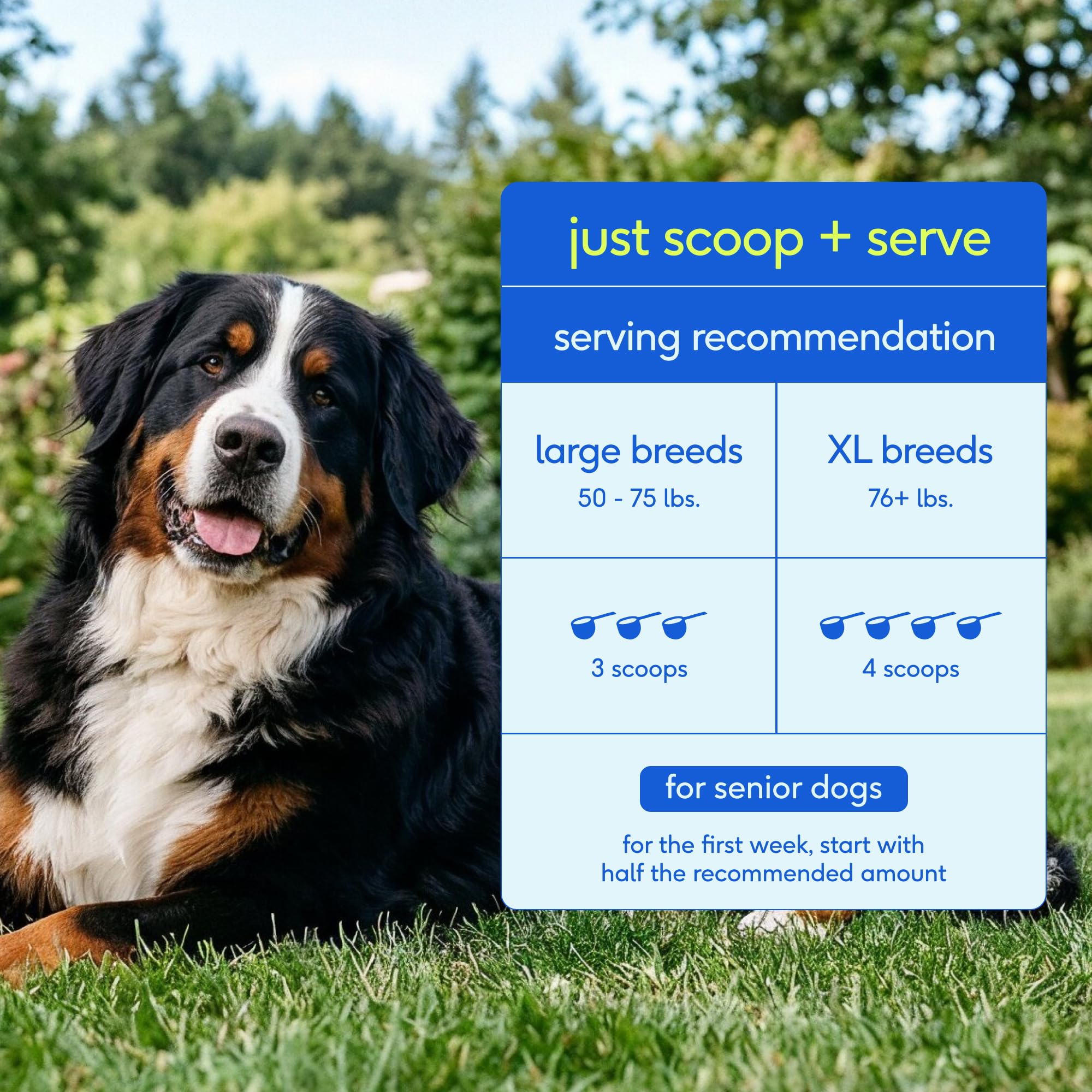 Native Pet pot comparé à une main pour visualiser taille et capacité