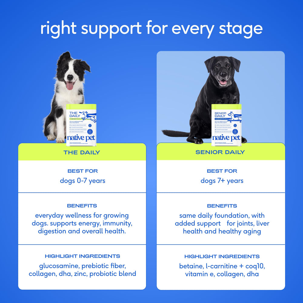 Native Pet liste d'ingrédients pour soutien articulaire et cognition