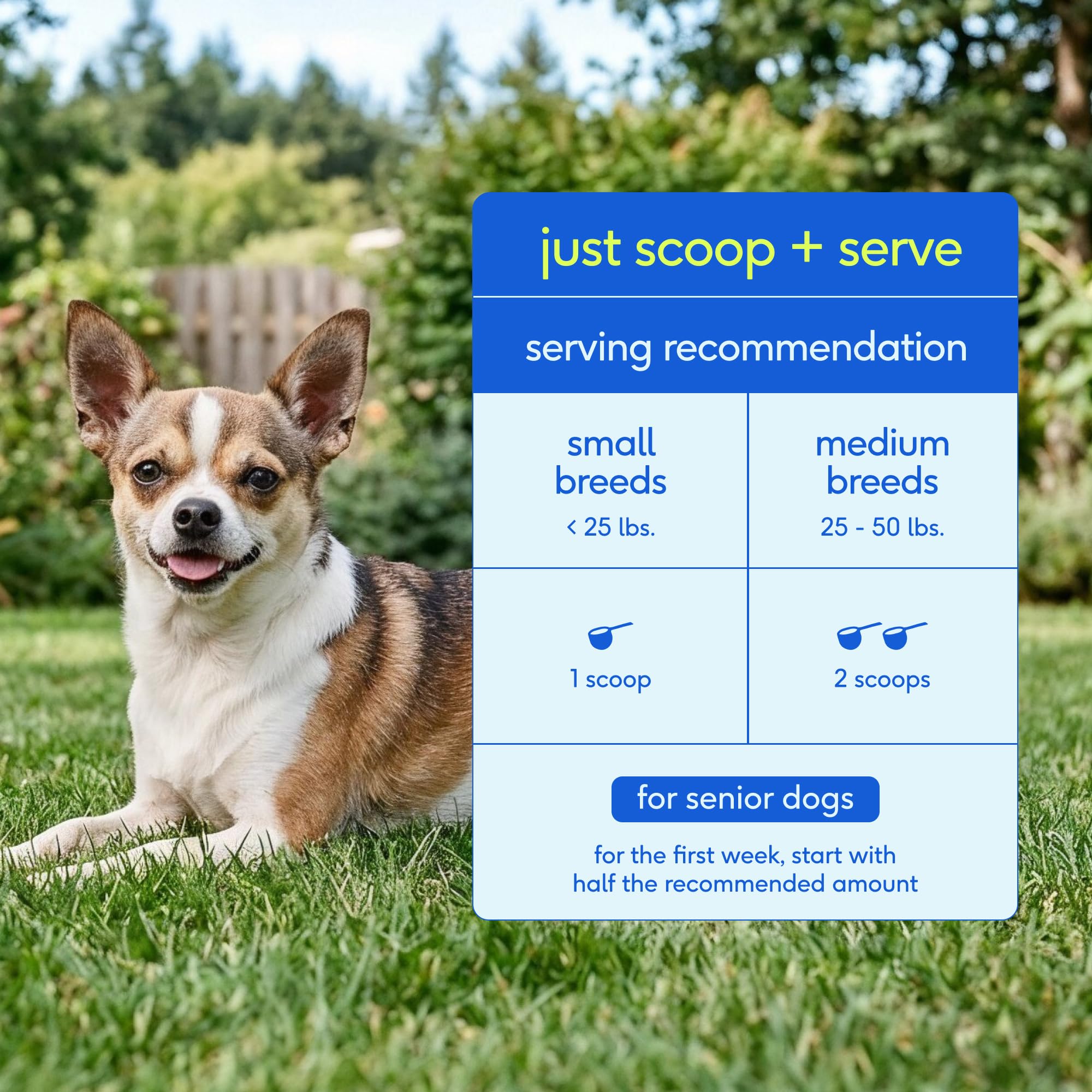 Native Pet étiquette nutritionnelle présente dosages clairs pour chiens