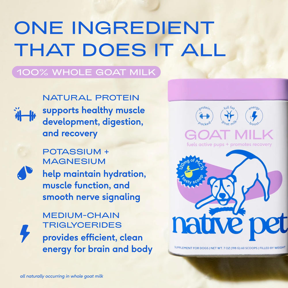 Native Pet poudre sur cuillère illustrant portion pratique pour réhydratation rapide