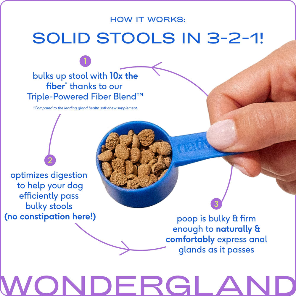 Native Pet poudre WonderGland gros plan, texture riche en fibres