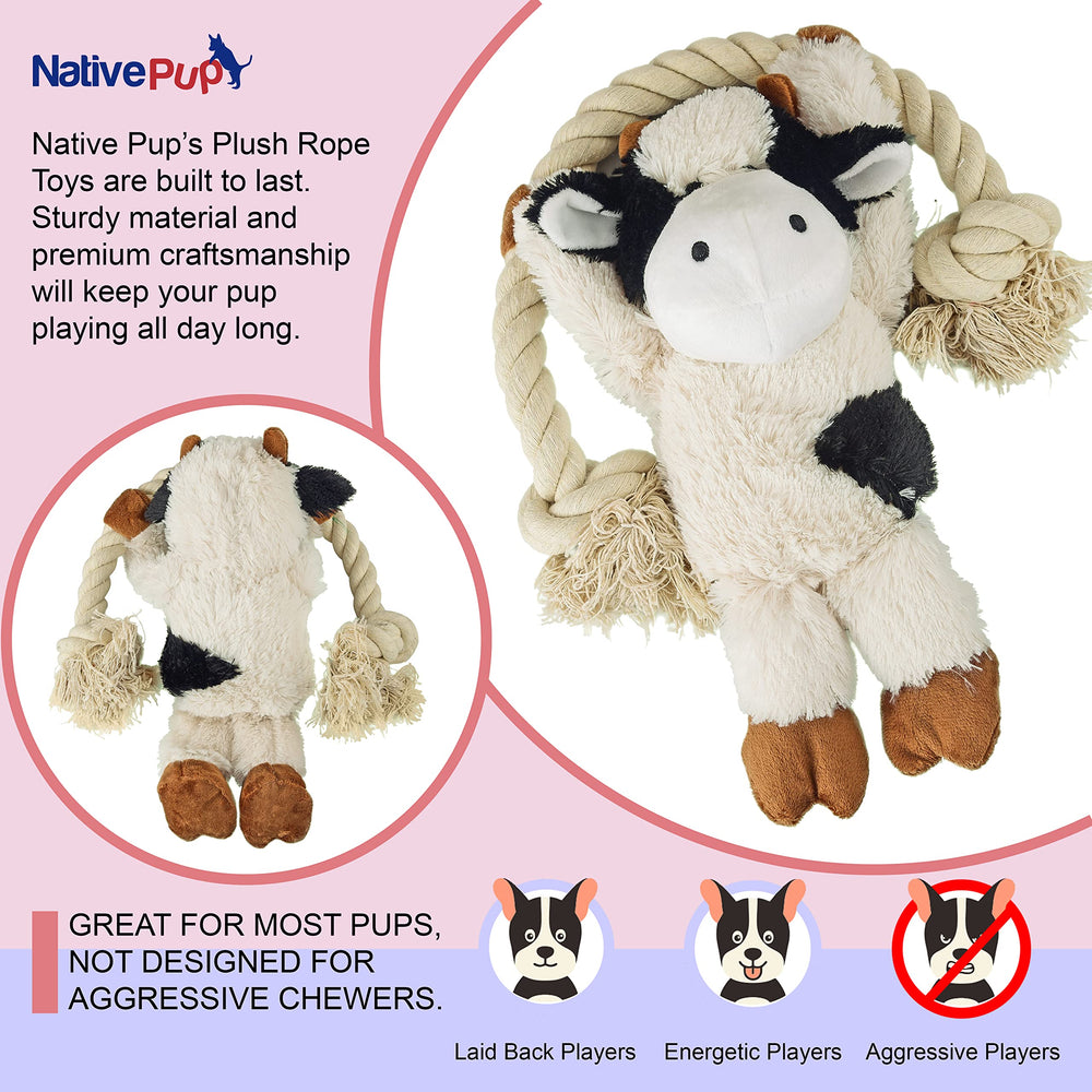 Native Pup gros plan corde montrant texture utile pour nettoyage dentaire