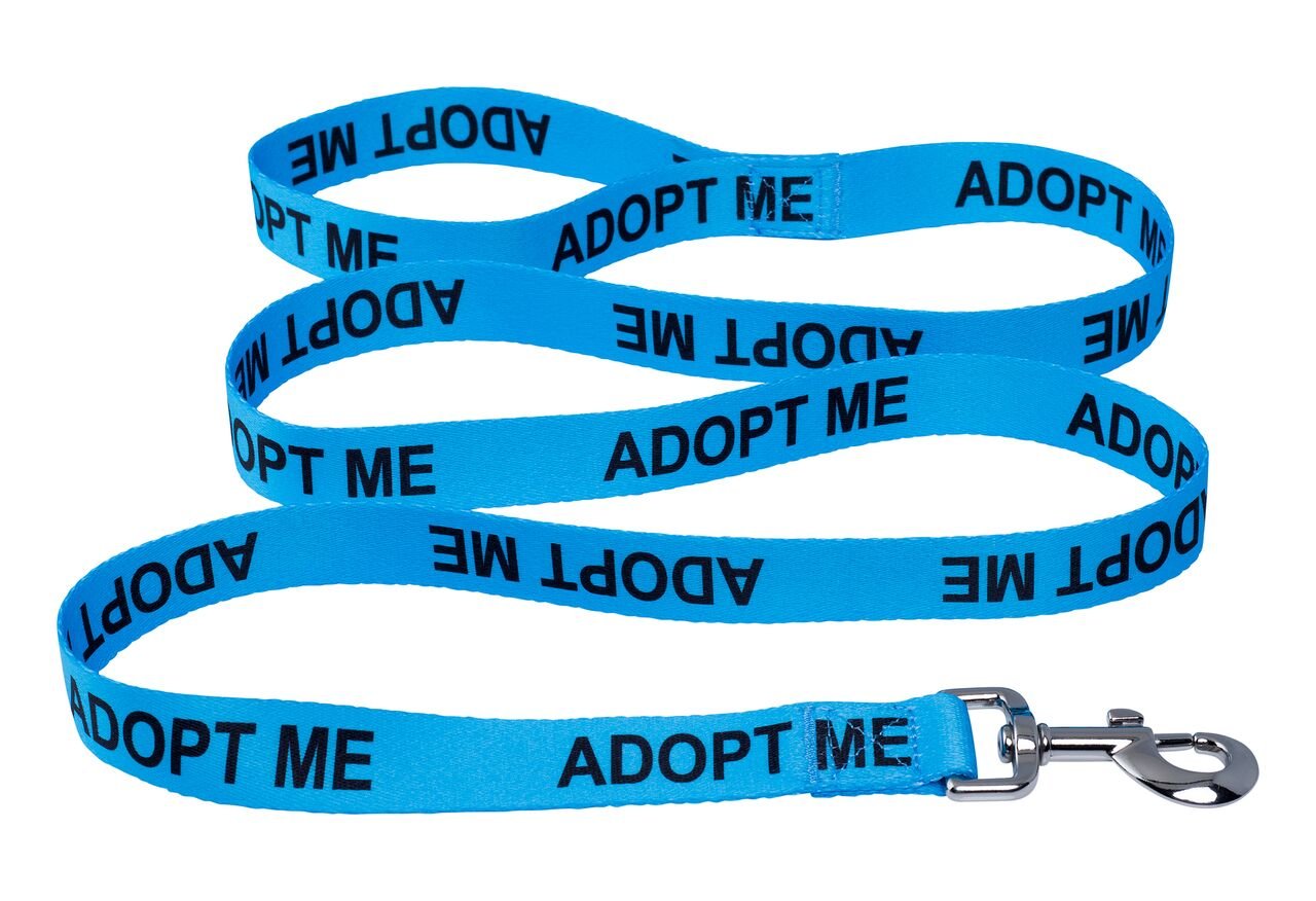 Native Pup laisse Adopt Me gros plan sur le mousqueton métallique assure sécurité