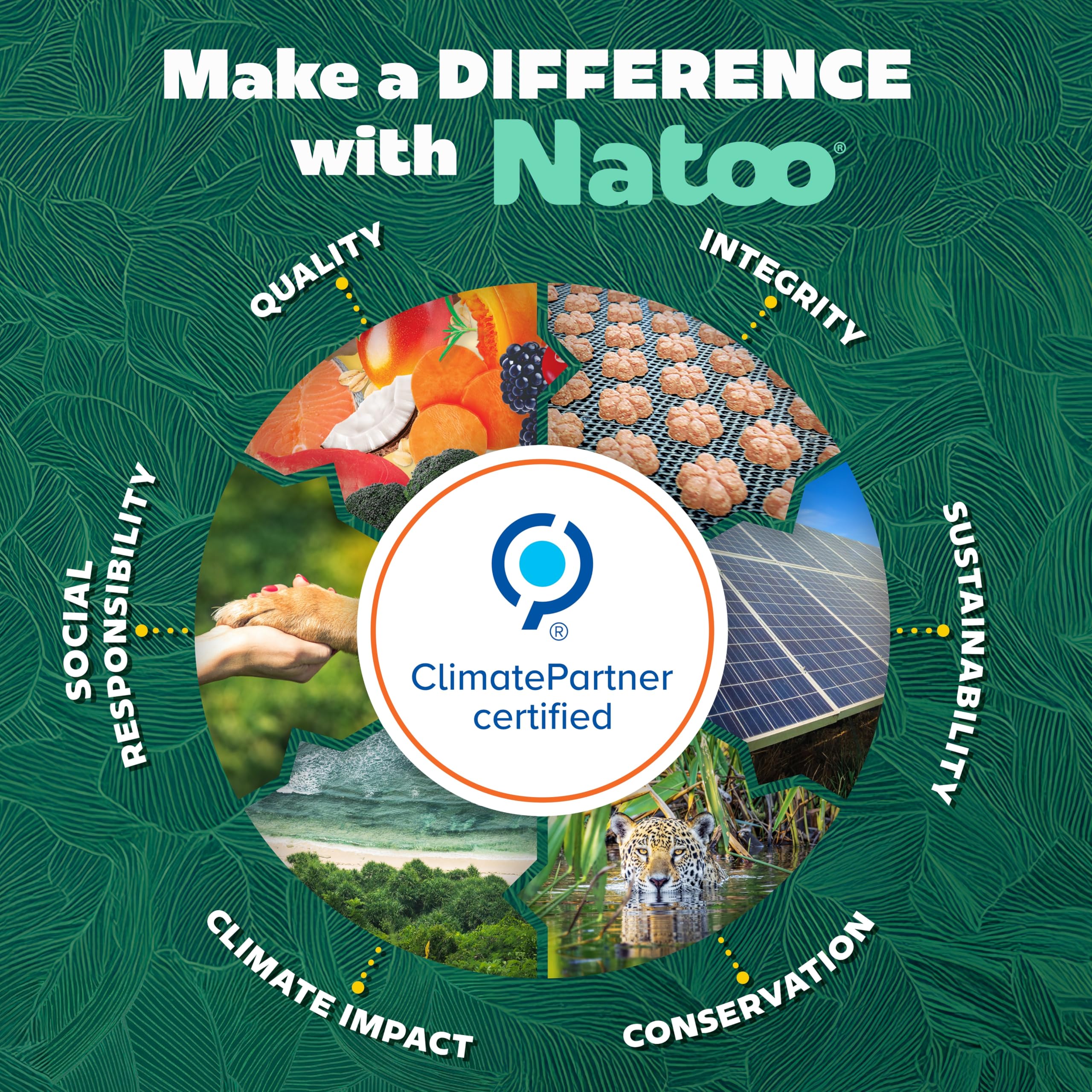 NATOO comparaison taille du sachet dans une main, pratique et portionnable