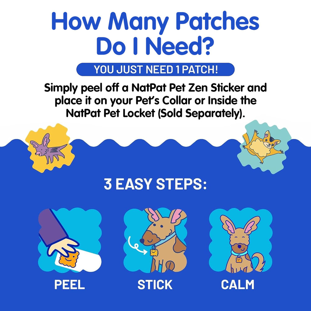 The Natural Patch Co. comparaison taille et contenu montrant 24 patchs pratiques