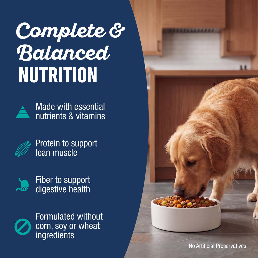 Natural Balance assiette portionnée montrant contrôle des rations pratiques