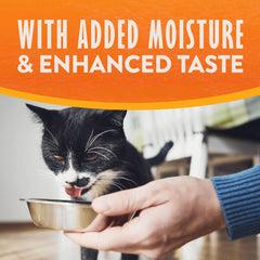 Natural Balance assiette servie mélangée avec croquettes augmentant hydratation du chat