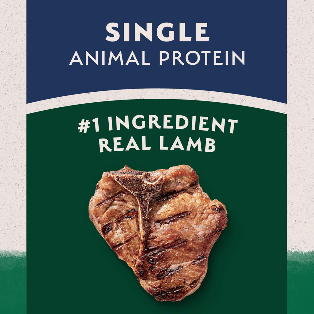 Natural Balance bol servi avec croquettes pour repas quotidien nutritif