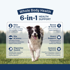 Natural Balance bol servi montrant portion adaptée et appétence canine