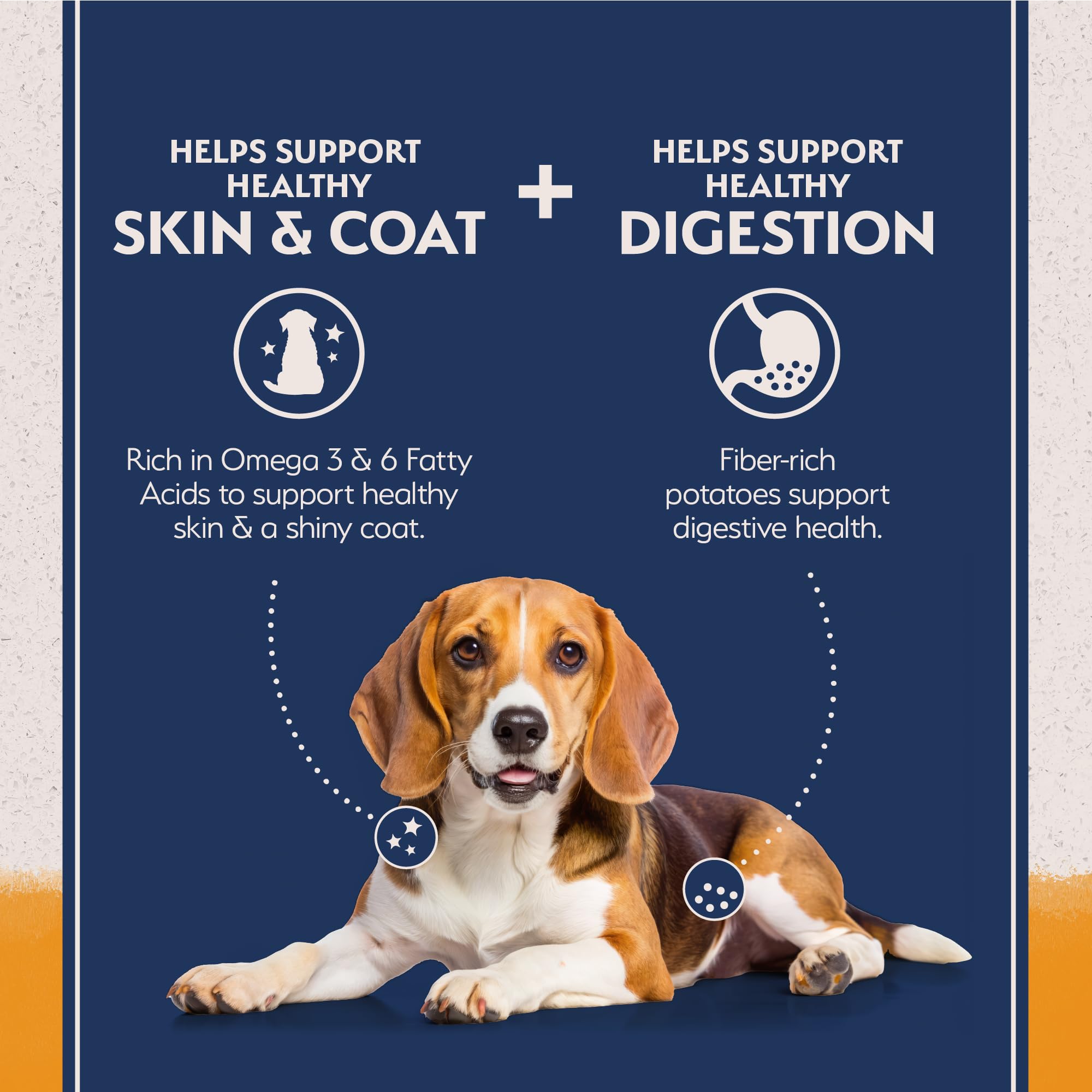 Natural Balance chien mange au bol démontrant acceptation et appétence