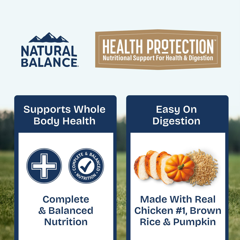 Natural Balance chien dégustant le ragoût en contexte domestique bénéfice plaisir alimentaire