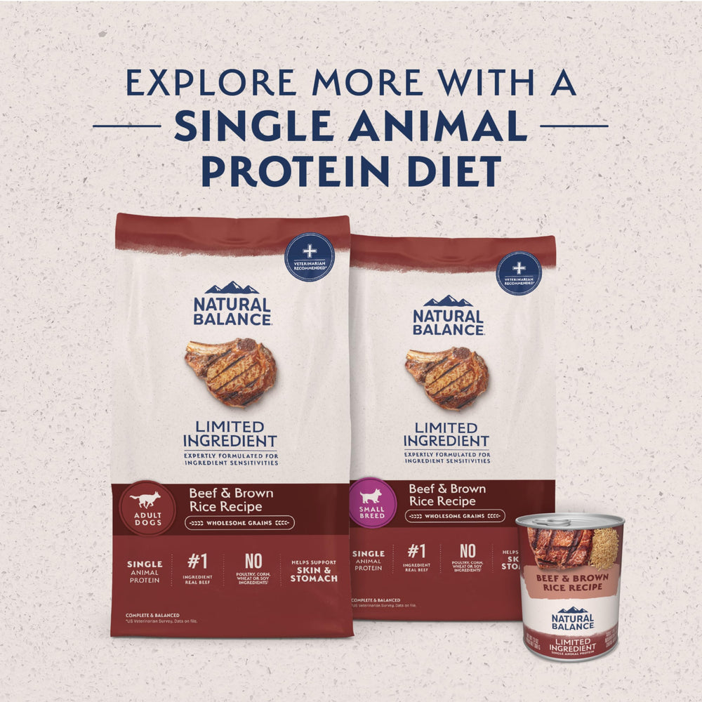 Natural Balance chien qui mange la nourriture indiquant l'appétence de la recette