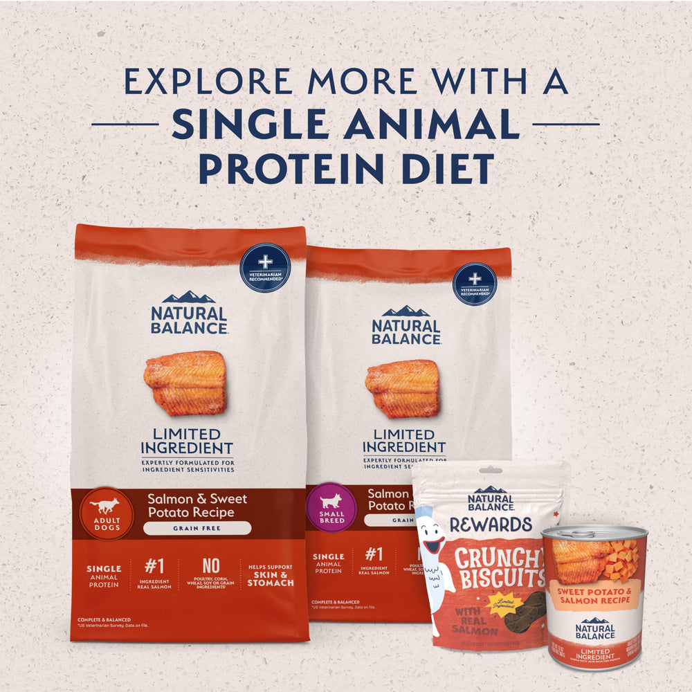Natural Balance chien mangeant dans une gamelle bénéfice acceptation et satiété